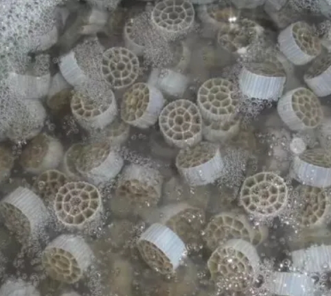 MBBR (Moving Bed Biofilm Reactor) био медианы чыпкалоо кантип иштейт?